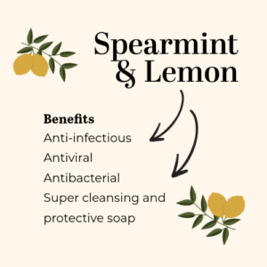 spearmint and lemon tallow soap with coffee grinds
