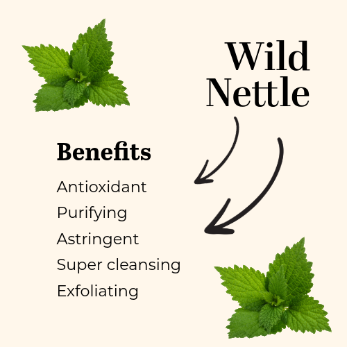 WILD NETTLE TALLOW SOAP 100g - Image 2
